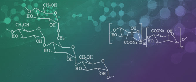 Ag<sup>0</sup>&ndash;Ginger Nanocomposites Integrated into Natural Hydrogelated Matrices Used as Antimicrobial Delivery Systems Deposited on Cellulose Fabrics