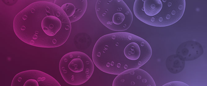 Diversity in the HLA-I Recognition of HLA-F Monoclonal Antibodies: HLA-F or HLA-Ib Monospecific, HLA-E or HLA-G Bispecific Antibodies with or without HLA-Ia Reactivity