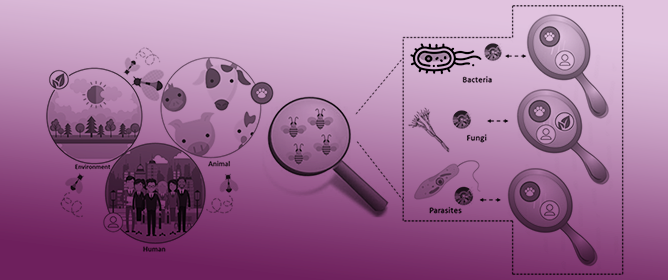 The Bee Gut Microbiota: Bridging Infective Agents Potential in the One Health Context