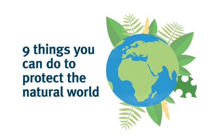 The text 9 things you can do to protect the natural world, alongside a graphic of a globe surrounded by foliage