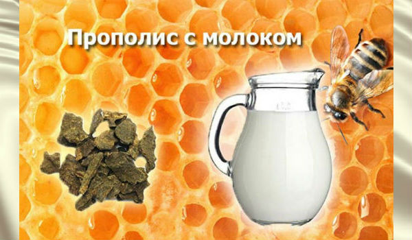 propolis