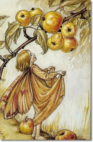 Cicely Mary Barker - Flower Fairies of the Autumn - The Crab-Apple Fairy: 