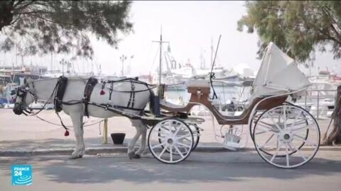 عربة يجرها حصان لنقل السياح في جزيرة إيجينا اليونانية.