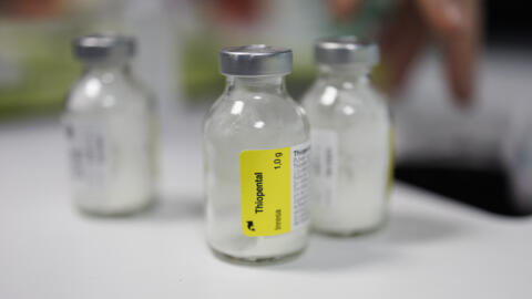 Flasks of "Thiopental" a barbiturate that is used in the practice of euthanasia are seen in a hospital in Belgium, on February 1, 2024. 
