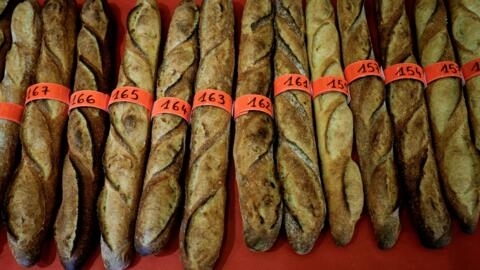 A photograph taken on April 25, 2024 in Paris, shows baguettes displayed during the annual ceremony to award the 2024 best baguette of the city of Paris.