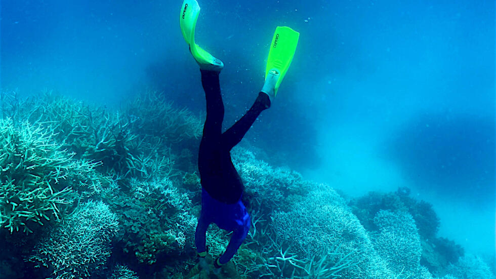 Another 'mass bleaching event' threatens to rob Australia's Great Barrier Reef of its wonder