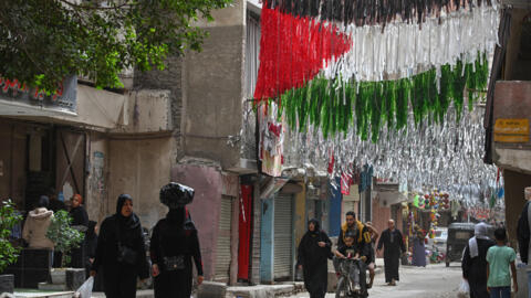 الزينات بعلم فلسطين في أحد شوارع القاهرة