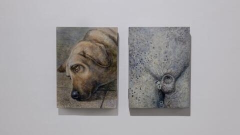 Выставка Александра Морозова «No sand in the sky» продлится в  парижской галерее DIX9 до 11 мая.