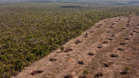 Aerial view of deforestation of the native Cerrado (savanna) in Sao Desiderio, west Bahia state, Brazil, taken on September 25, 2023. Splashed across the middle of Brazil, the "Cerrado" may be the most important place most people have never heard of, a vast tropical savanna experts say is crucial to the planet's health but quickly disappearing.