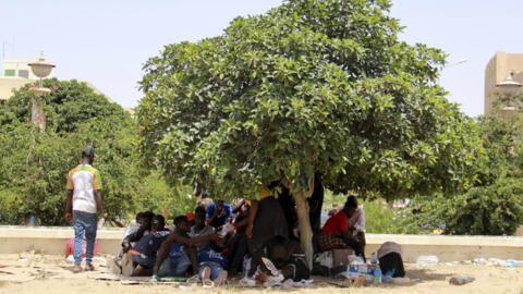 Des migrants s'abritent du soleil sous un arbre à Sfax en Tunisie en juillet 2023 (image d'illustration).