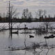Команде губернатора Шумкова удалось избежать катастрофы во время паводка. Фото