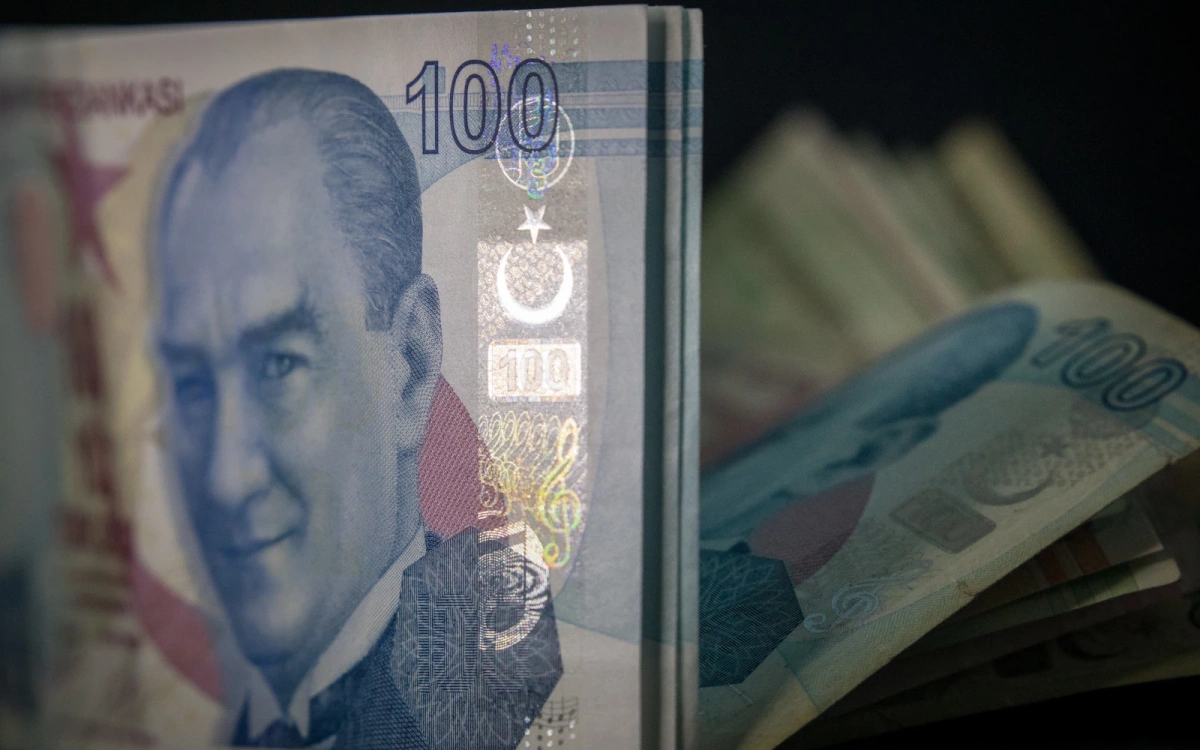 Курс турецкой лиры упал до нового исторического минимума