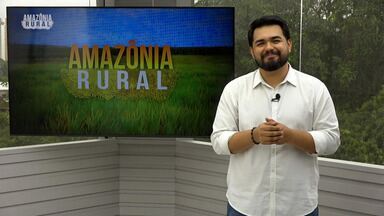 Confira o Amazônia Rural deste domingo (4) - Veja os destaques.