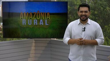 Amazônia Rural de domingo, 10 de dezembro de 2023 - Veja a íntegra