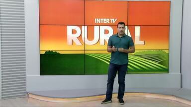 Inter TV Rural - Edição de domingo, 25/02/2024 - Inter TV Rural - Edição de domingo, 25/02/2024