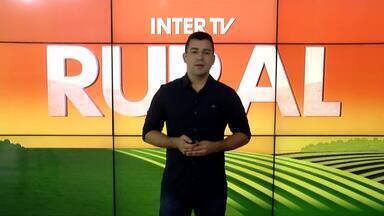 Inter TV Rural - Edição de domingo, 17/03/2024 - Inter TV Rural - Edição de domingo, 17/03/2024