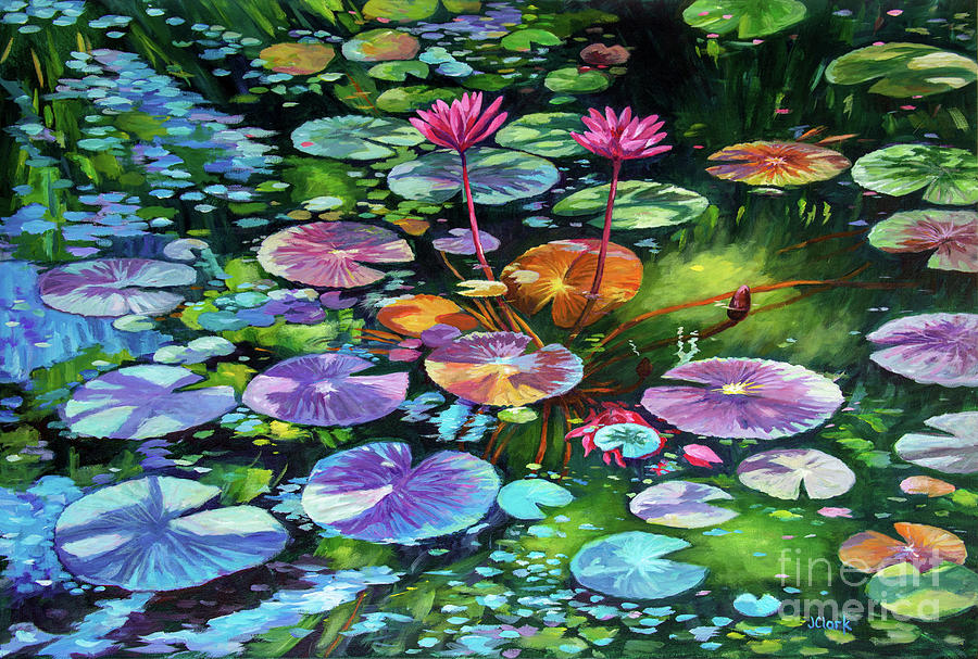 pink-water-lilies-and-lily-pads-john-clark.jpg