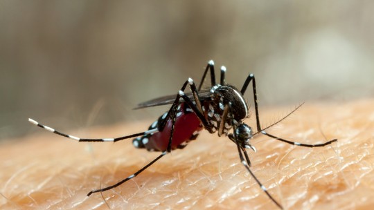Sorocaba confirma mais duas mortes por dengue