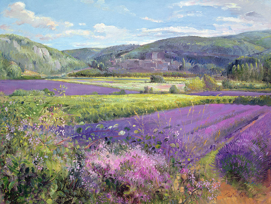 lavender-fields-in-old-provence-timothy-easton.jpg