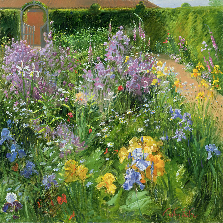 sweet-rocket--foxgloves-and-irises-timothy-easton.jpg