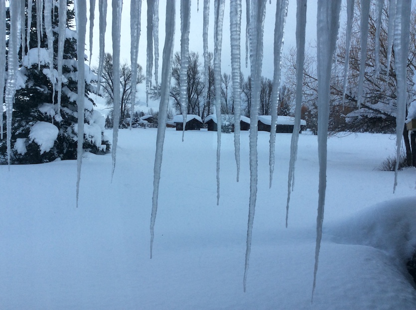 Cabins in Moran, WY, with icicles in the foreground