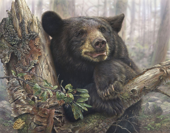 mayer-Home-Sweet-Home-black-bear .jpg