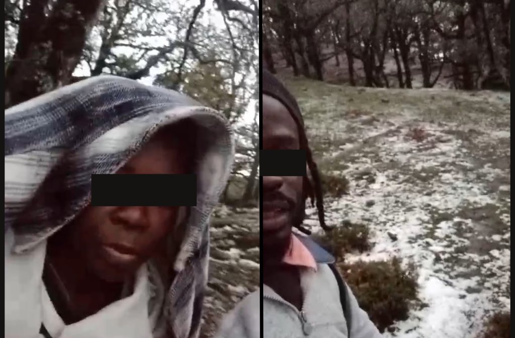 Excerpts from TikTok videos of migrants in the snow on the Algerian border in late 2023. | Photo: Private