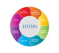 HRMS and Payroll Management Systems