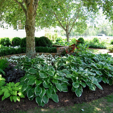 hastas flower bed