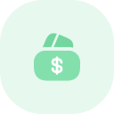 Earn money icon