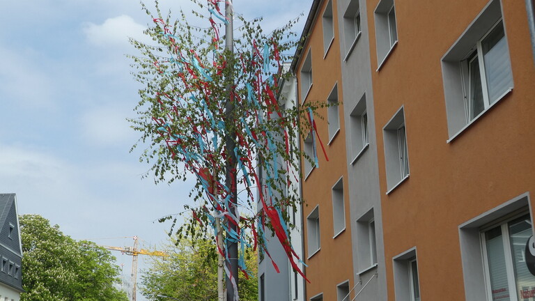 Ein Maibaum steht vor einem Wohnhaus in Köln, aufgenommen im Jahr 2022