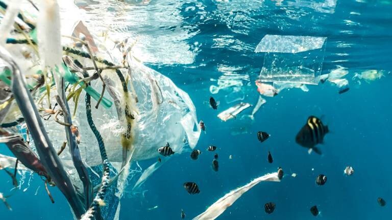 Plastikmüll treibt im offenen Meer, drum herum schwimmen Fische.