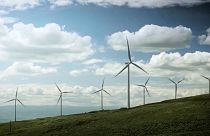 Попутный ветер даст энергию: в ЕС ускорят строительство ветряных парков