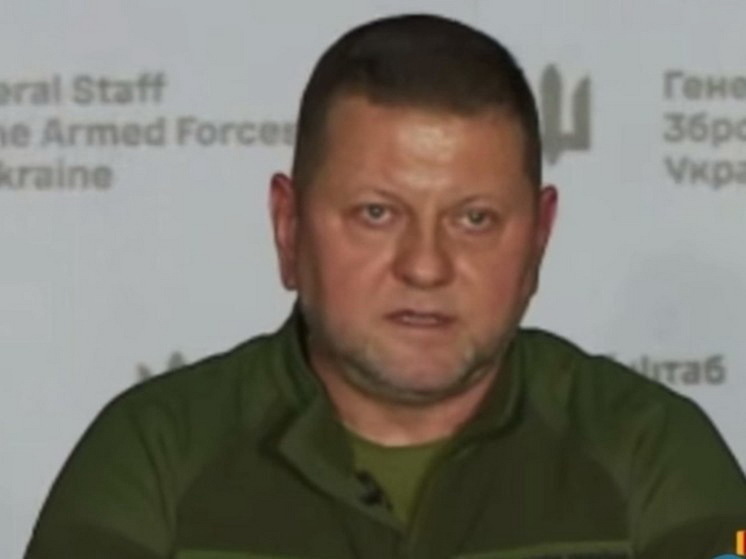 Бывший главком Вооруженных сил Украины Валерий Залужный уже несколько недель не появляется на публике — это подозрительно, пишет издание WION