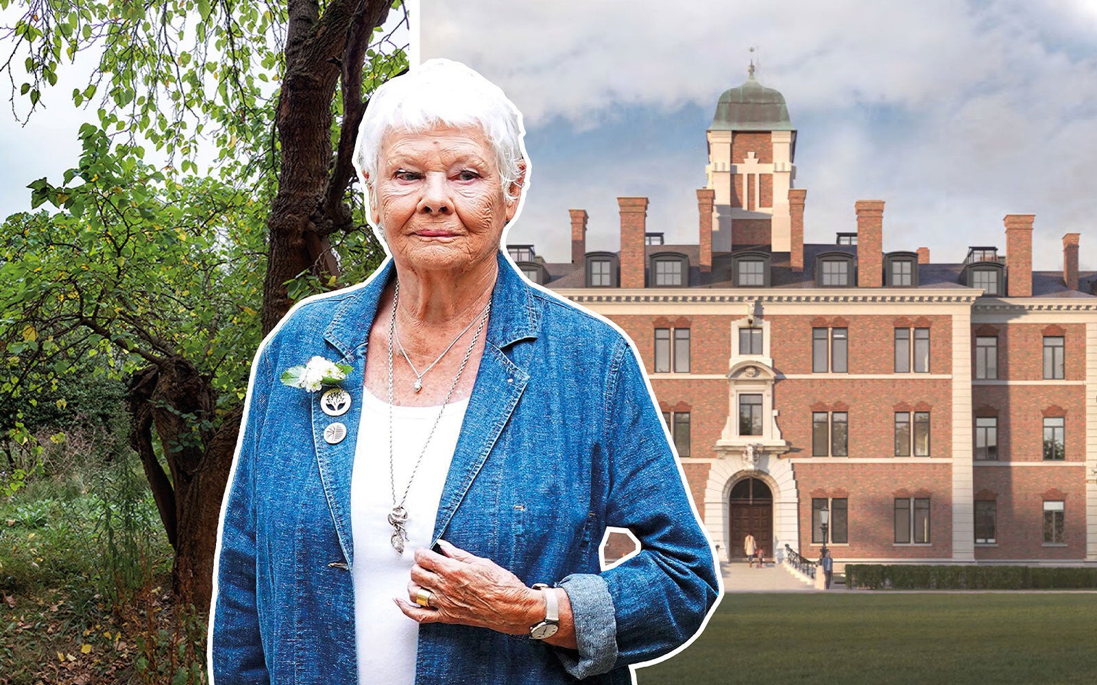 Judi Dench's beloved 400-year-old tree preserved in new housing plans