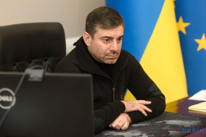Dmytro Łubinec, Rzecznik Praw Człowieka Rady Najwyższej Ukrainy

