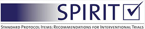 SPIRIT 2013 logo