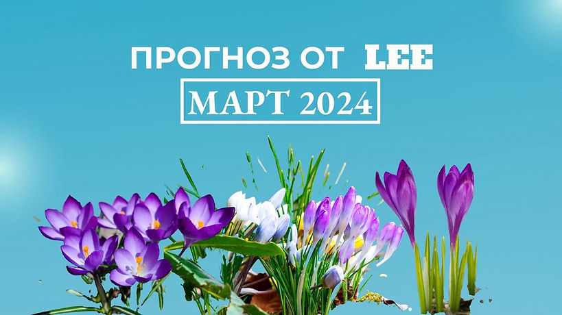    lee   2024 