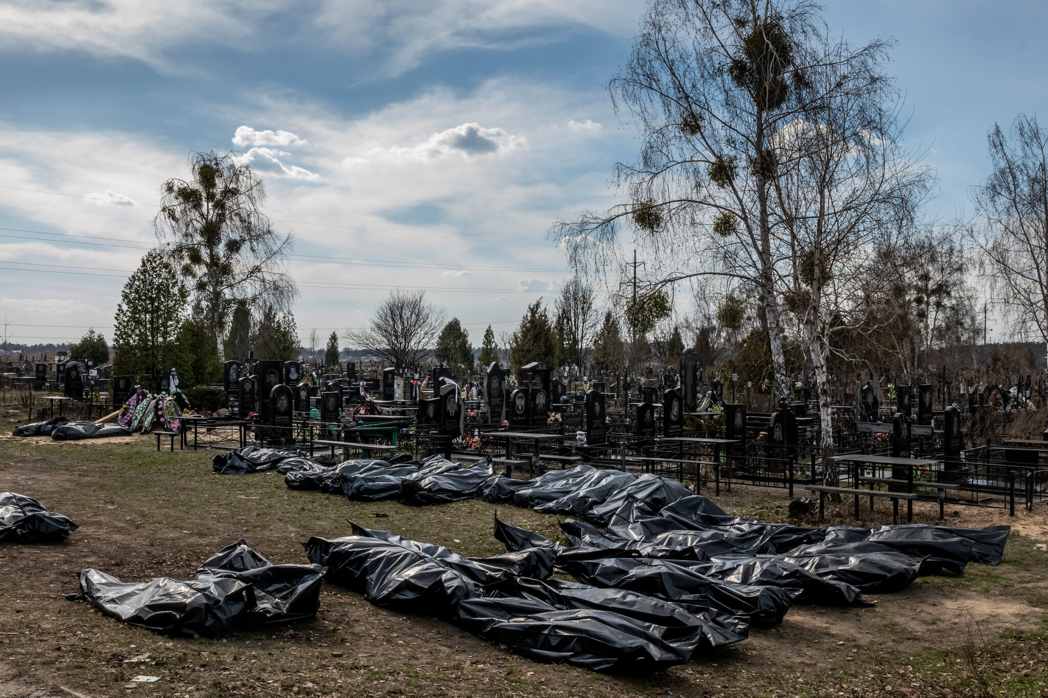 Body bags on the grass of a cemetery.