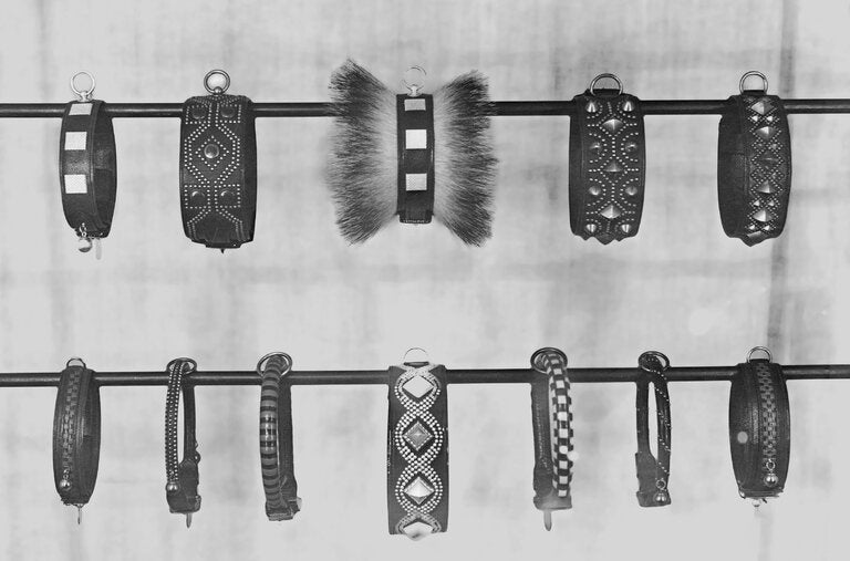 A 1923 presentation of Hermès dog collars.