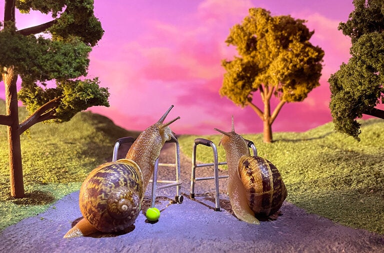 “Snails at Sunset” (2022) by the American artists Aleia Murawski and Sam Copeland.