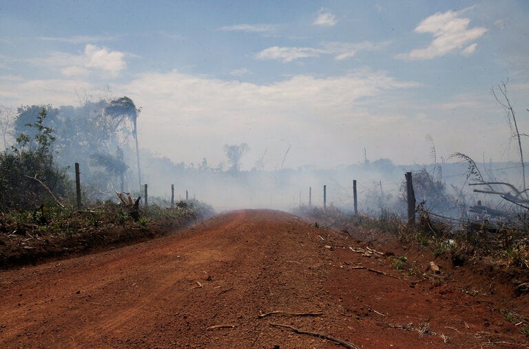 An illegal road in a deforested area of the Yari plains, in Caqueta, Colombia.