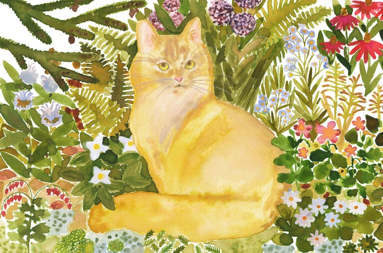 Masha, the cat at the heart of Caleb Carr’s memoir, enjoys classical music, hankers to wander free and “eats like a barbarian queen,” he writes.