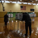 Voters cast ballots in Lansing, Mich., in 2020.