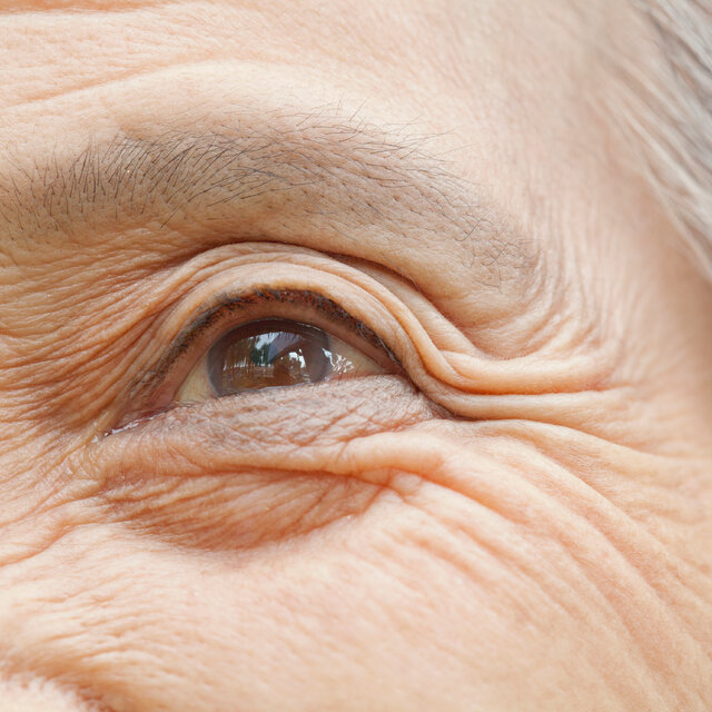 Close up of a grey haired, wrinkled older woman’s eye. 