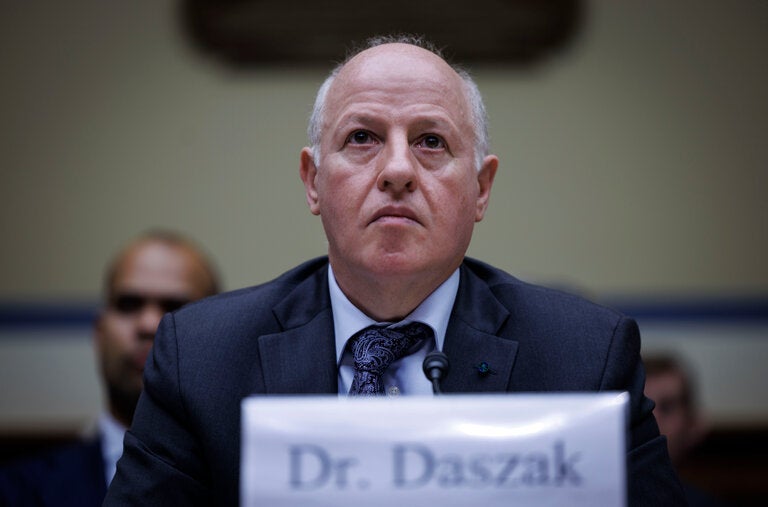 Peter Daszak, president of EcoHealth Alliance, testifying during a hearing on Capitol Hill on Wednesday.