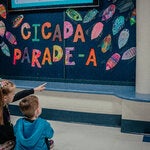 Students at Cumberland Elementary School in Des Plaines, Ill., where a board was dedicated to cicada artwork.