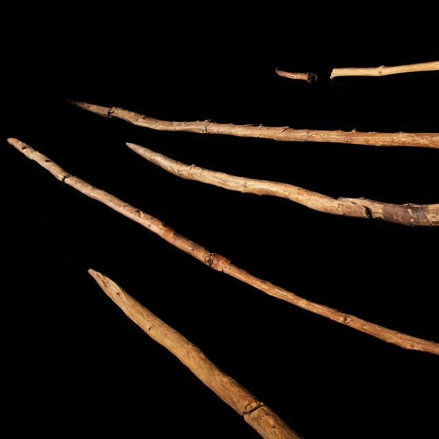 Five long throwing sticks or spears made from wood on a black background.