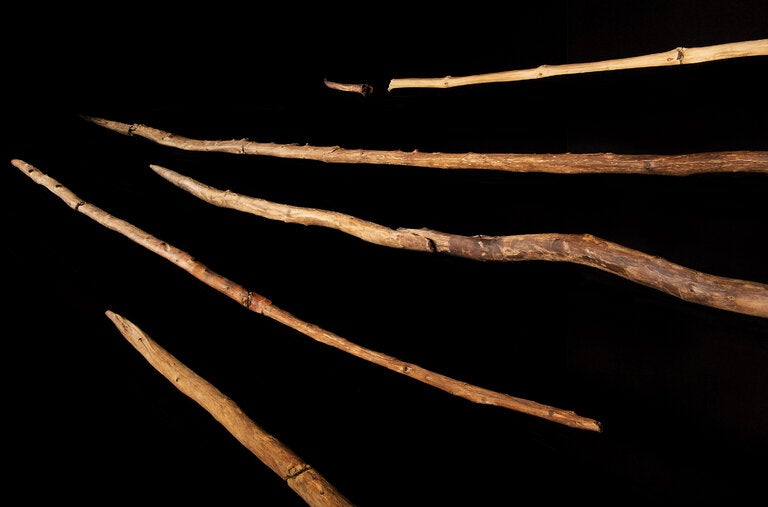 Spears and throwing sticks dating from about 300,000 years ago. They were among the many wooden objects excavated between 1994 and 2008 from an open-pit coal mine in northern Germany.