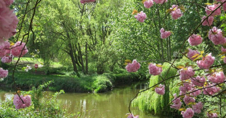 The River Weaver and its Water: the Good, the Bad and the Ugly - talk